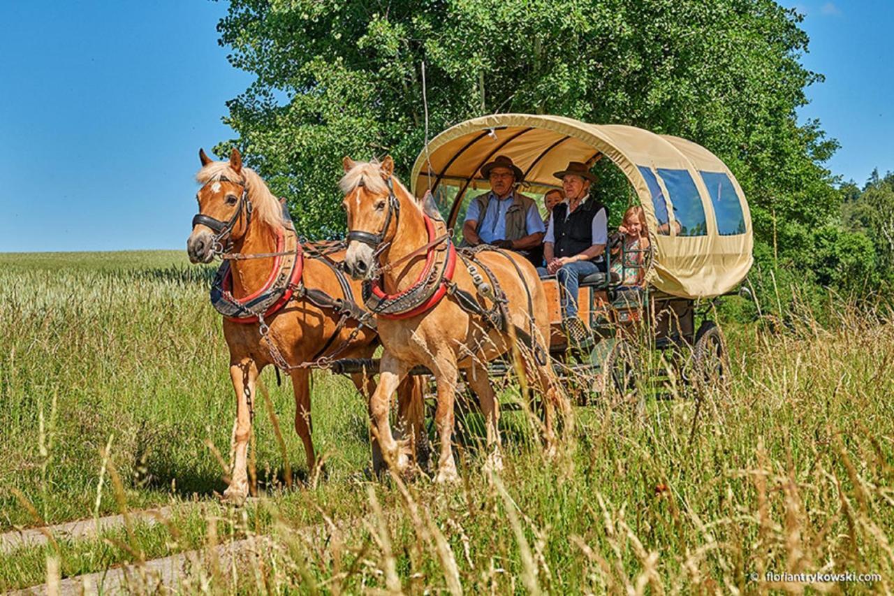 Апартаменти Haflingerhof Galster Markt Taschendorf Екстер'єр фото